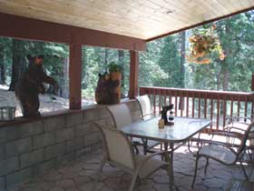 Cozy Bear Cottages Vacation Rental Home In Yosemite National Park